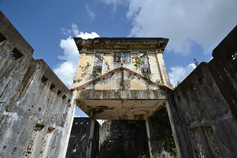 Rare Rose Rediscovered on Alcatraz 30 Years Ago Teaches Resilience