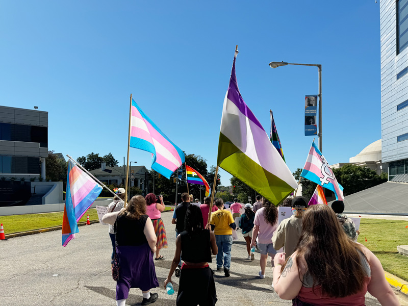 Rear view of a group of more than a dozen people marching down a street waving gay, lesbian, transgender, and gender queer pride flags. 