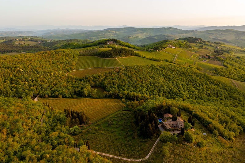 Aerial view of rolling green hills in a rural landscape featuring vineyards, forests, and scattered homes.