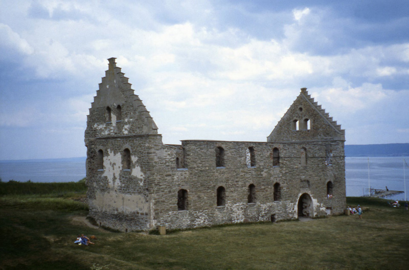 7.	Visingsborgs Castle ruins (Slottsruinis), Visingsö, Sweden. Photograph by Mary Ellen Sigmond, 1992.