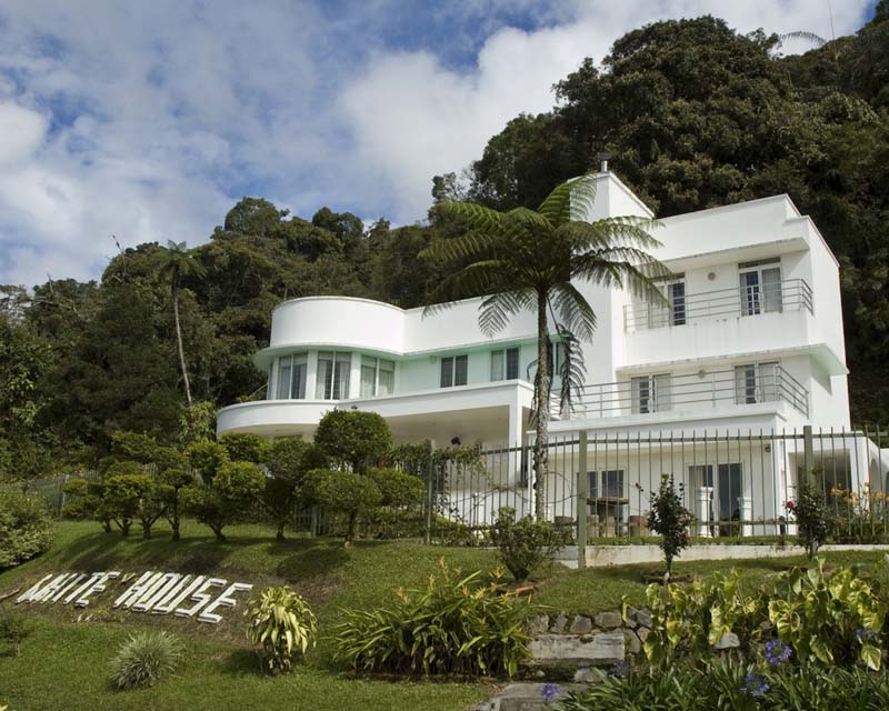 white streamline modern building on hill with tropical plants