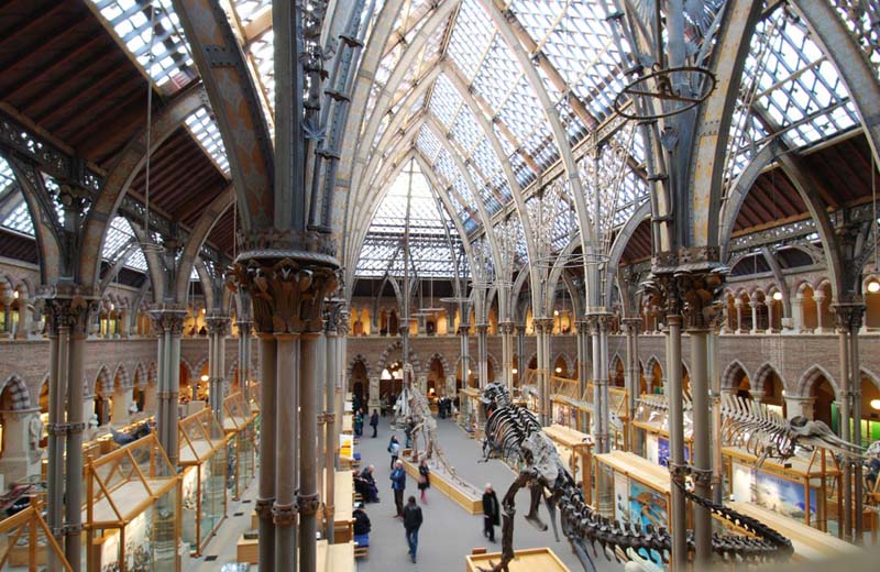 museum interior with neo-Gothic vaulting and glass ceiling